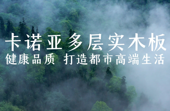 91香蕉污视频多層實木板，環保品質再升級